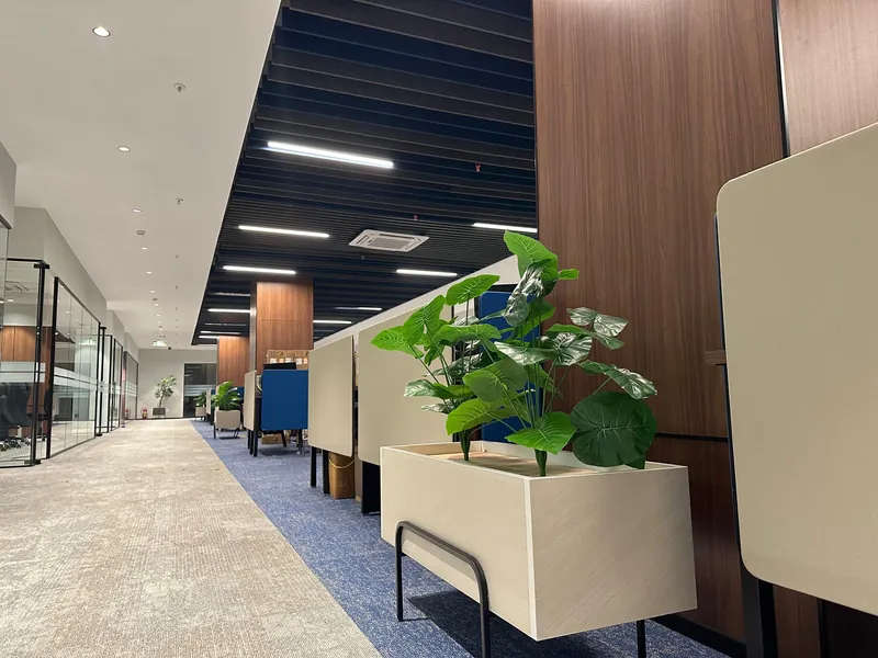 Open office passage with glass cabins, wood walls, and planter partitions on carpet.